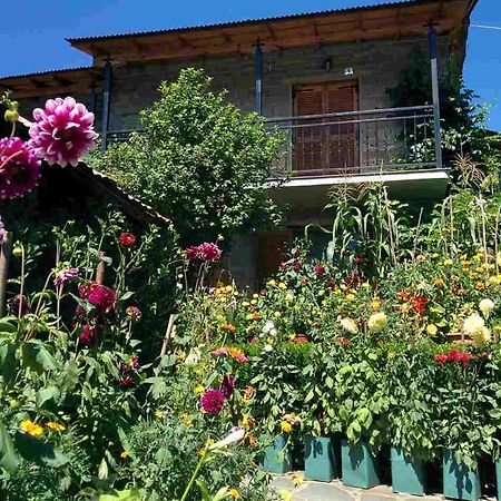 Guesthouse Gouris Tsepelovo Zewnętrze zdjęcie