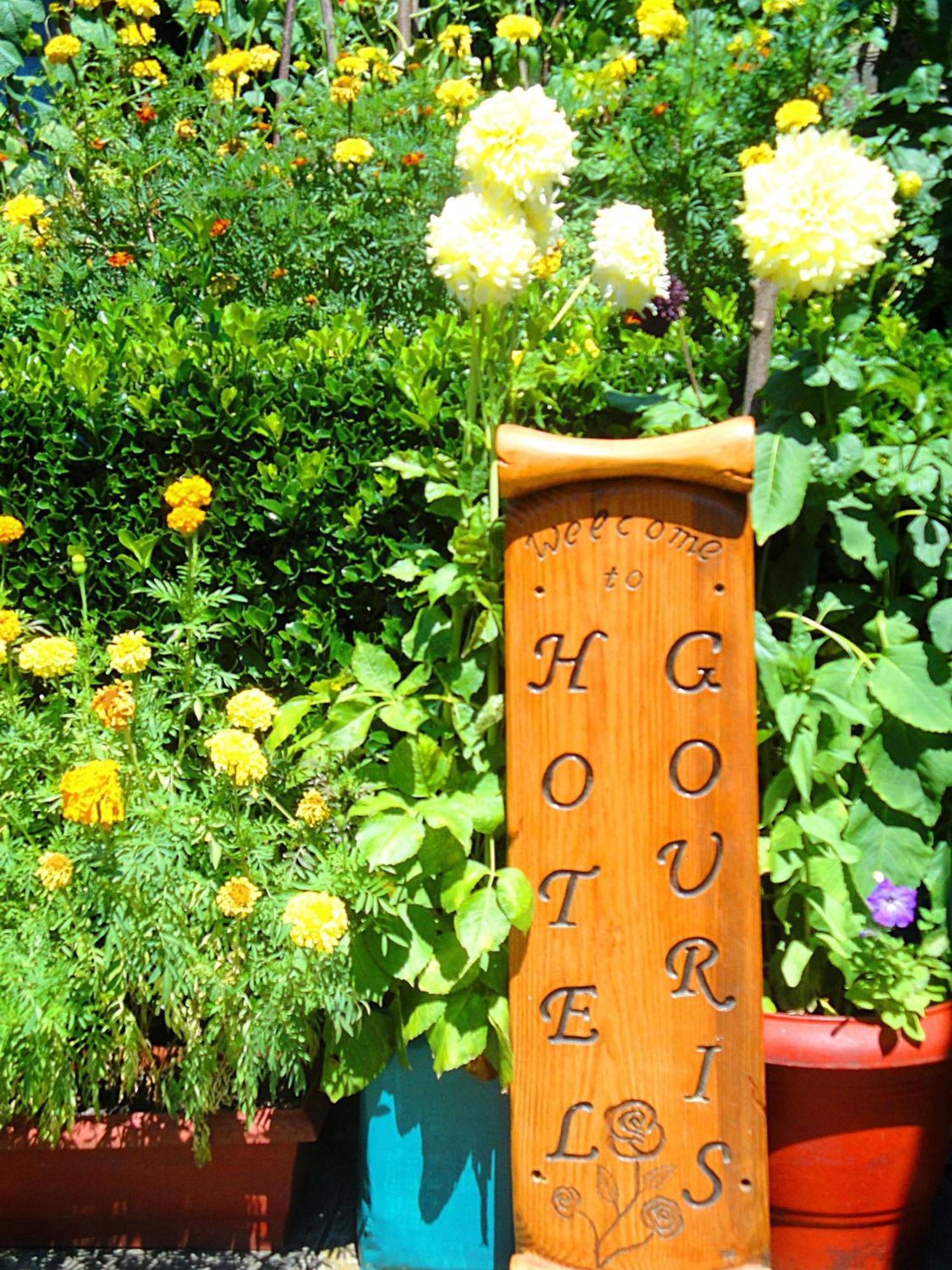 Guesthouse Gouris Tsepelovo Zewnętrze zdjęcie