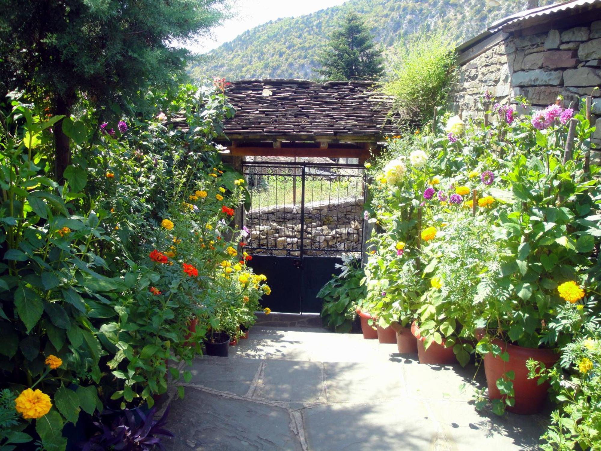 Guesthouse Gouris Tsepelovo Zewnętrze zdjęcie