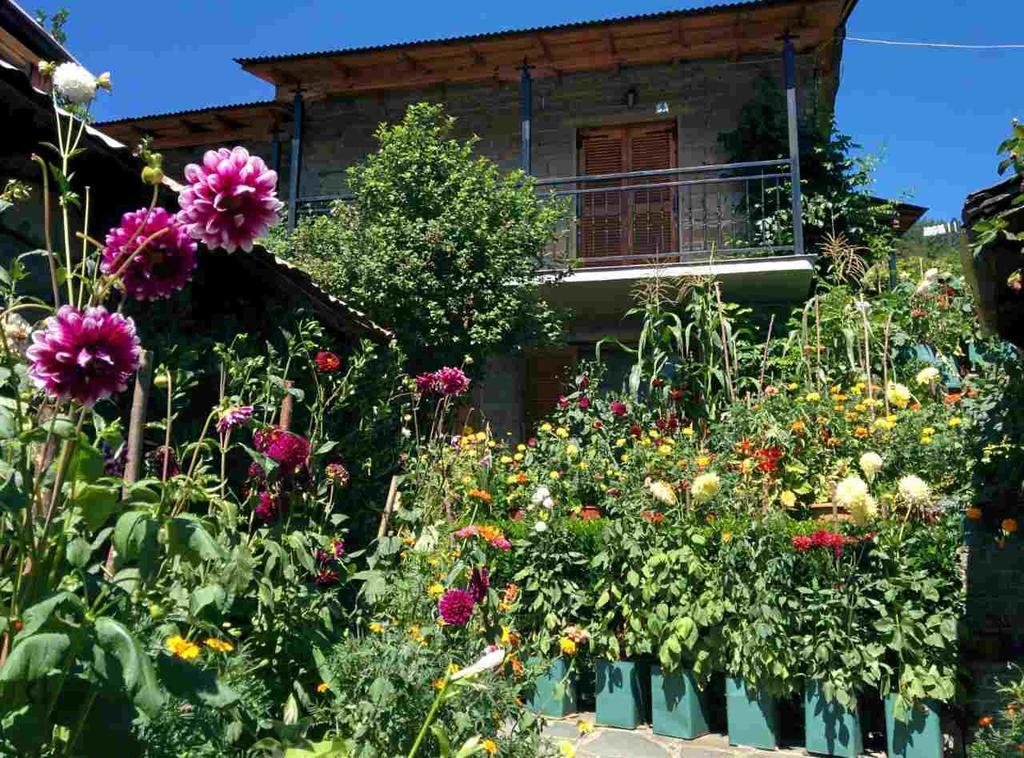 Guesthouse Gouris Tsepelovo Zewnętrze zdjęcie