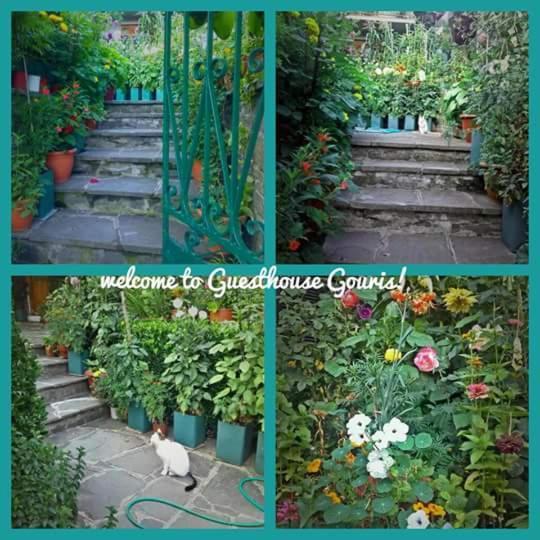 Guesthouse Gouris Tsepelovo Zewnętrze zdjęcie