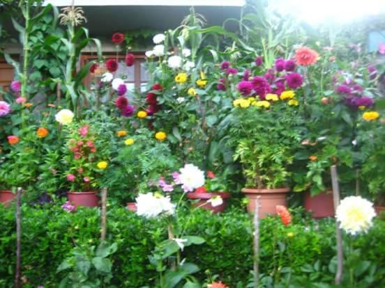 Guesthouse Gouris Tsepelovo Zewnętrze zdjęcie
