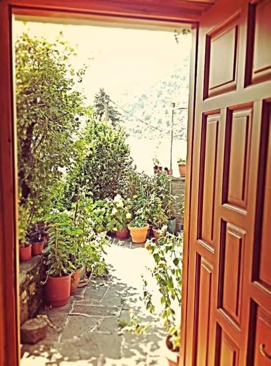 Guesthouse Gouris Tsepelovo Zewnętrze zdjęcie